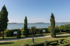 The Park
